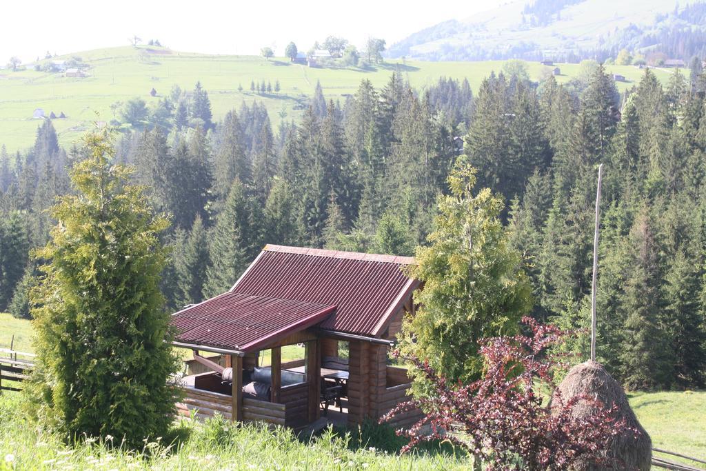 Polonyna Villa Verkhovyna Exterior photo